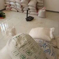 فروش لوبیا چیتی
