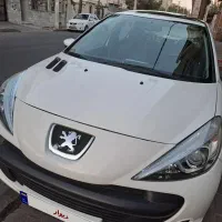 ۲۰۷ پانا مدل ۱۴۰۲ در حد خشک