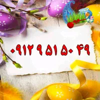 0912.9.51.50.49|سیم‌کارت|یزد, |دیوار