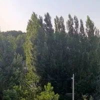 زمین باغی پسکوهک
