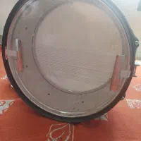 دوقل در حدنو بسیار سالم وتمیر