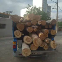 خرید وهرس انواع درخت