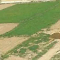 زمین سعدی آخر  طریقت داخل محدوده