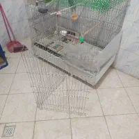 قفس دست ساز بزرگ