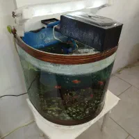 آکواریوم