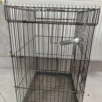 قفس