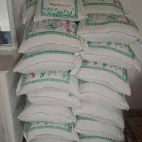 برنج گیلان