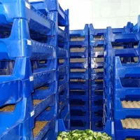 سبد پلاستیکی درجه یک