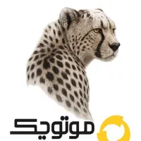 استخدام منشی و کمک حسابدار