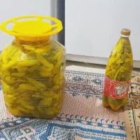 فروش و معاوضه  ترشی بیلهر