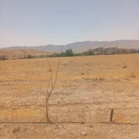 دماوند آبسرد زمین ۲۵۰متری سند تک برگ