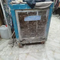 کولور