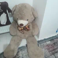 خرس بزرگ یک متری