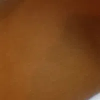 فروش خاکشیر