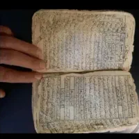 نامی الهی