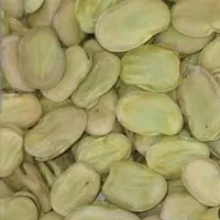فروش باقلا خشک با کیفیت (بهشهر)