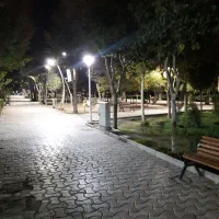پیاده روی دسته جمعی.
