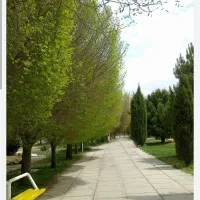 پیاده روی و کوهنوردی
