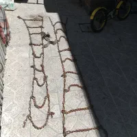 زنجیر چرخ