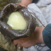 روغن بز تازه امسال