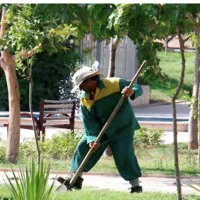 تعدادی کارگر برای فضای سبز