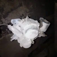 ژیکلاتور گاز پژو