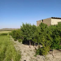 باغ فروشی در روستای زواریان قیمت مناسب