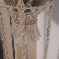 جوجه برزیلی