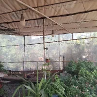 سرایدار جهت کار در گلخانه و رستوران
