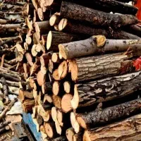 برش چوب وهرس