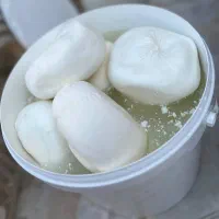 پخش عمده پنیر پیتزا و پنیر و کره سراب