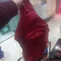 نی انبان دوزله