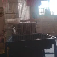 استان اردبیل شهرستان پارس آباد