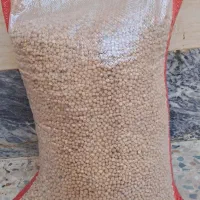 نخود بذری منصور پایه بلند بسته بندی شده