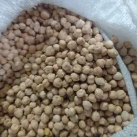 نخود و عدس کالپوش