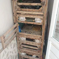 قفس کبوتر