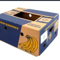 فروش کارتن موز