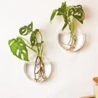 گلدان شیشه ای دیواری
