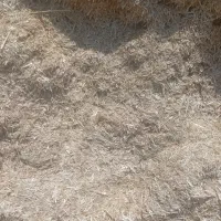 کاه گندم آبی ازیک تن تا100تن