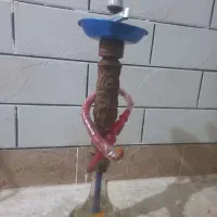 کبوتر  معاوضه قلیون کبوتر