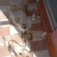 لوستر دونه ای یک میلیون