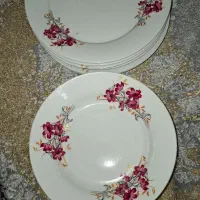 یک دست پلو خوری و پنج خورش خوری چینی