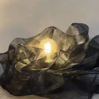 پینترستی لوستر