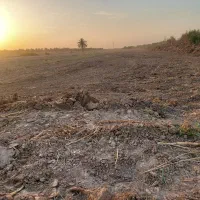 زمین-در-کمربندی-ام-البنین