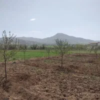 باغ