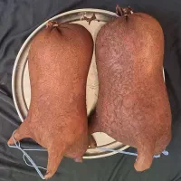 مشک ماست