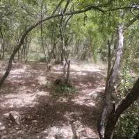 اجاره باغ چهاردیواری تفت