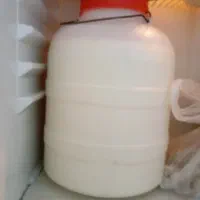 شیر گاو