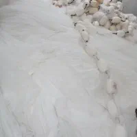 جل کاشغ نو