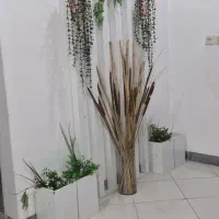 خانه-ویلایی